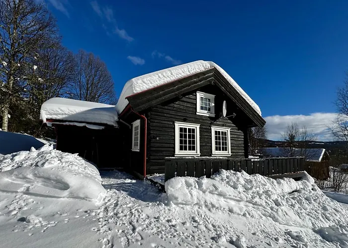 Tommerhytte I Idylliske Omgivelser Hébergement de vacances Hemsedal