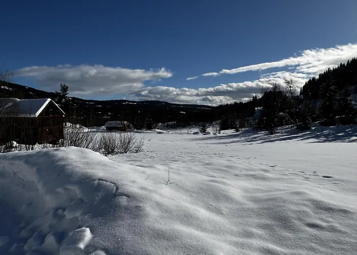 Hébergement de vacances Tommerhytte I Idylliske Omgivelser Hemsedal